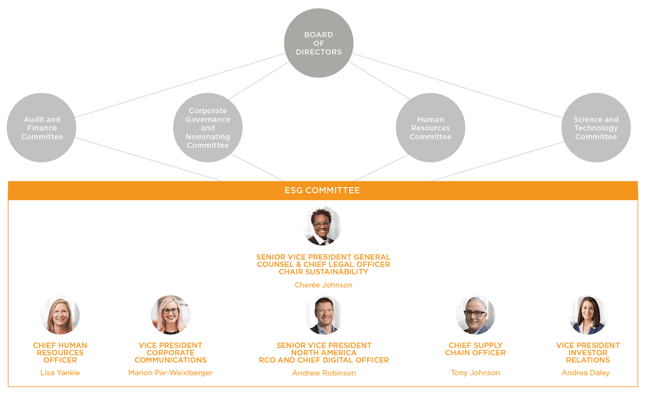 Organizational Chart of ESG comittee
