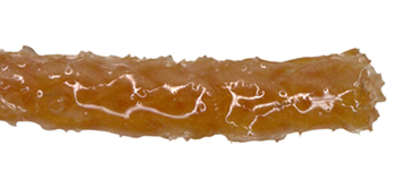 Hemoban Gel Coard soaked