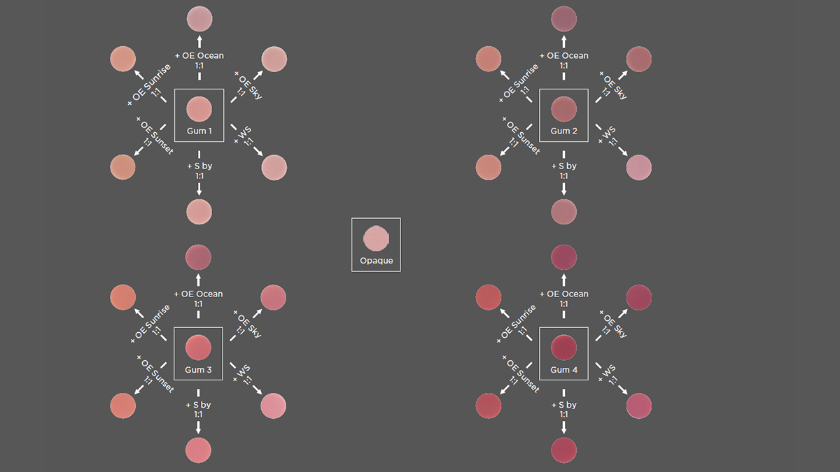 Four gums for individual gingival tints